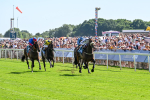 120725-Race 4-Al Qareem-0317