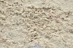 230723A-114621-11596