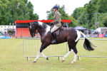 SBM_02654