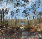Beebe Woods Falmouth - Punch Bowl