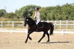 SBM_003431