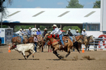 3HRodeo8-11-25_PRCASteer_06630_