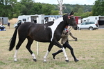 WJ6_5275