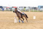 SBM_004307