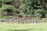 FOM_0665