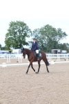 SBM_00183