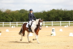 SBM_015685
