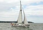 120715 SEAFERN WT7A6219