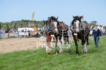 Guernsey Agricultural Show 2021-171