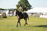 SBM_20159