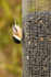 20130113-_MG_2086
