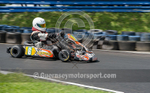 Kart_Inter Island 2016-33