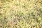 SBM_20221