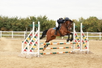 SBM_008572