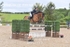 BPP_1773