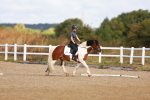 SBM_009298