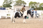 SBM_04243