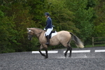 WJ5_9687