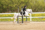 SBM_003828