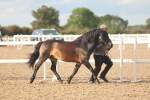 SBM_08614