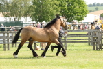SBM_02285