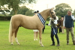 SBM_75185