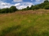 Sally Clark's Meadow