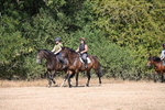 WJ6_7840