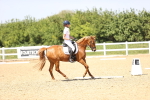 SBM_010078
