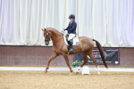 SBM_005164