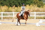SBM_009798