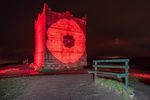 Rivington Pike Poppy