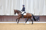 SBM_000569
