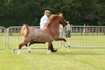 SBM_00400