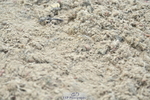230721A-103652-05217