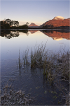 Cold reflections