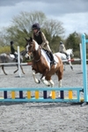 Show Jumping portfolio