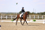 SBM_015061