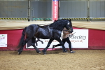 SBM_15223