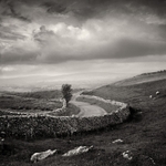 Dales Road (square format)
