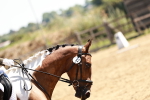 SBM_000790