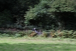 FOM_0632