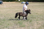 WJ6_6827