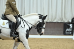 SBM_007099