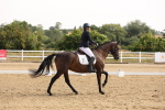 SBM_005339