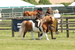 SBM_05217