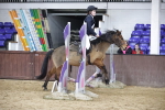 SBM_000554
