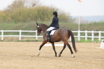 SBM_006641