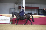 Class 101 Equitation (best rider), Junior portfolio