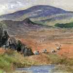 The Cheviot